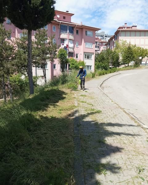 HÜRRİYET MAHALLESİ VE TOKİ ORTAOKULU’NDA YABANİ OT TEMİZLİĞİ